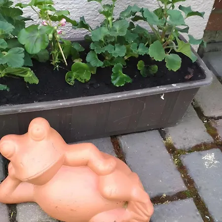 Fuer 2 Personen Lejlighed Bad Eilsen